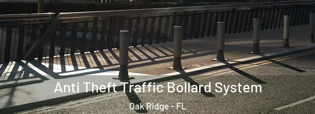 Anti Theft Traffic Bollard System Oak Ridge - FL