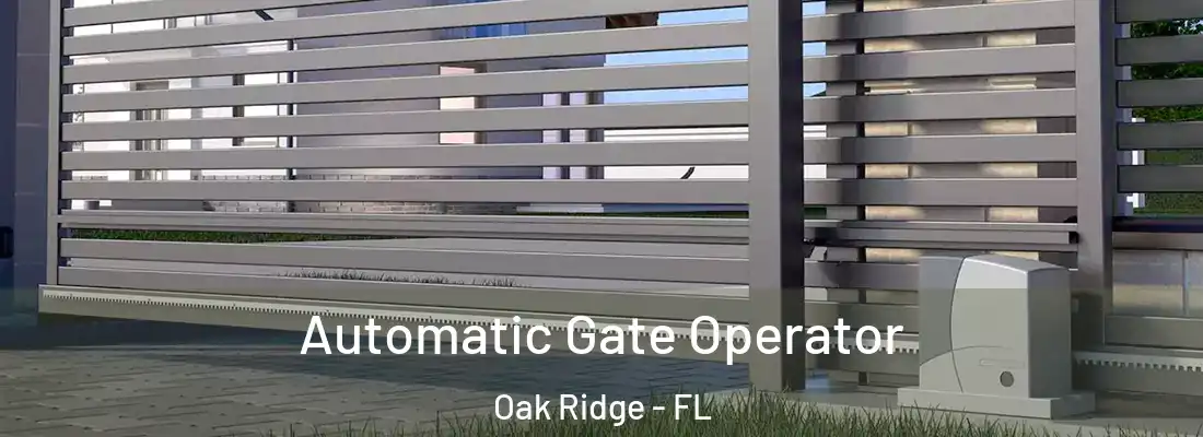 Automatic Gate Operator Oak Ridge - FL