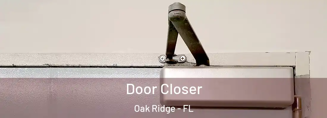 Door Closer Oak Ridge - FL