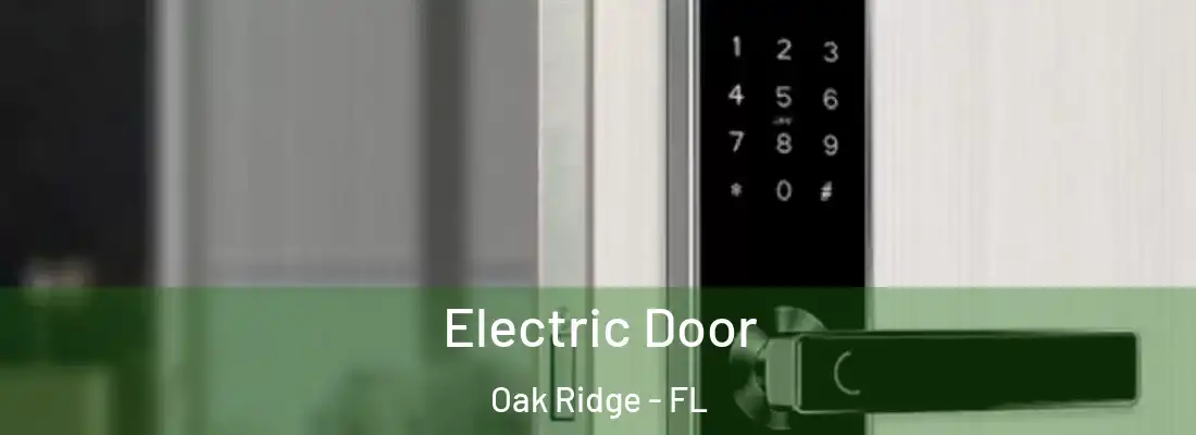 Electric Door Oak Ridge - FL