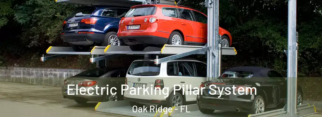 Electric Parking Pillar System Oak Ridge - FL