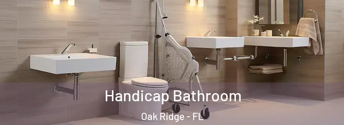 Handicap Bathroom Oak Ridge - FL