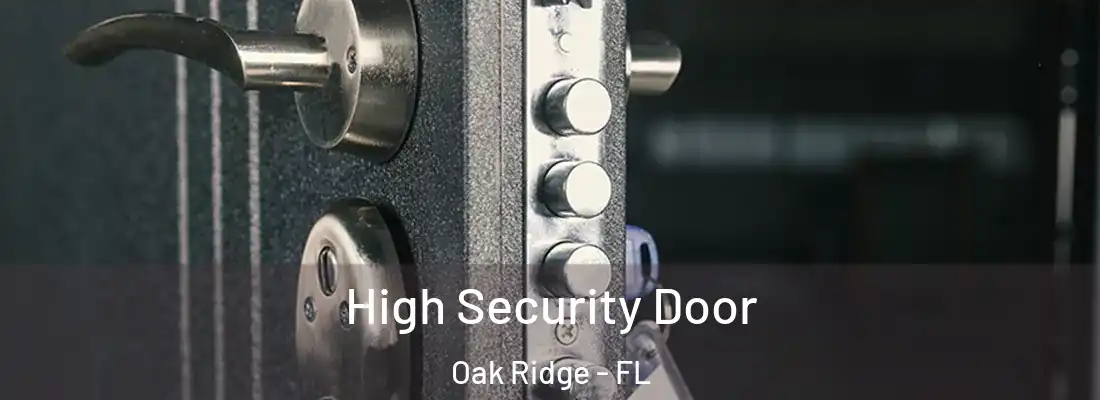 High Security Door Oak Ridge - FL