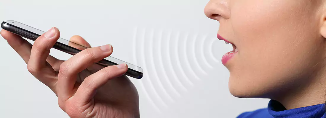 Residential and Commercial Voice Recognition Access Solutions in Oak Ridge, FL