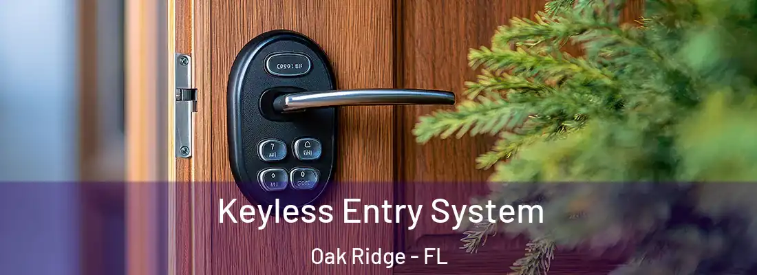 Keyless Entry System Oak Ridge - FL