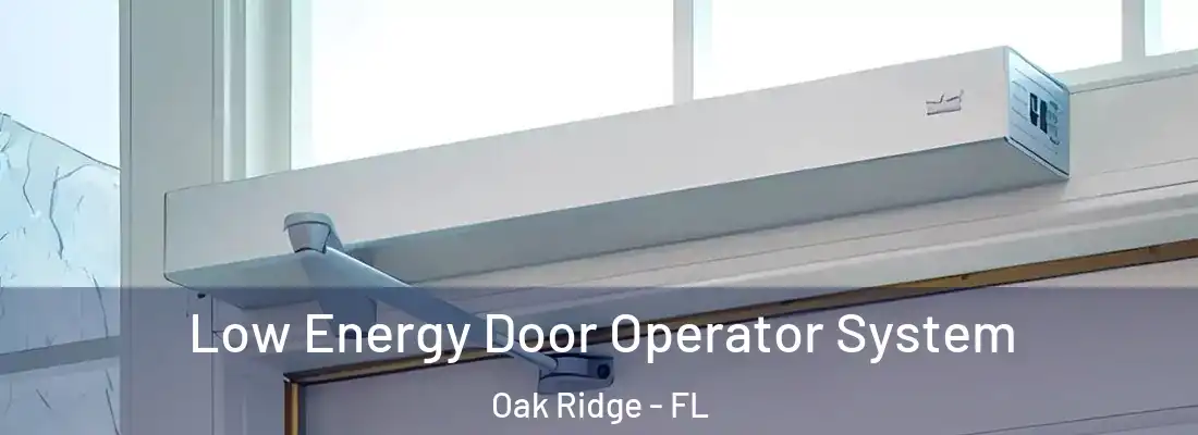 Low Energy Door Operator System Oak Ridge - FL