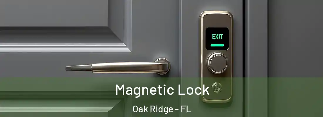 Magnetic Lock Oak Ridge - FL