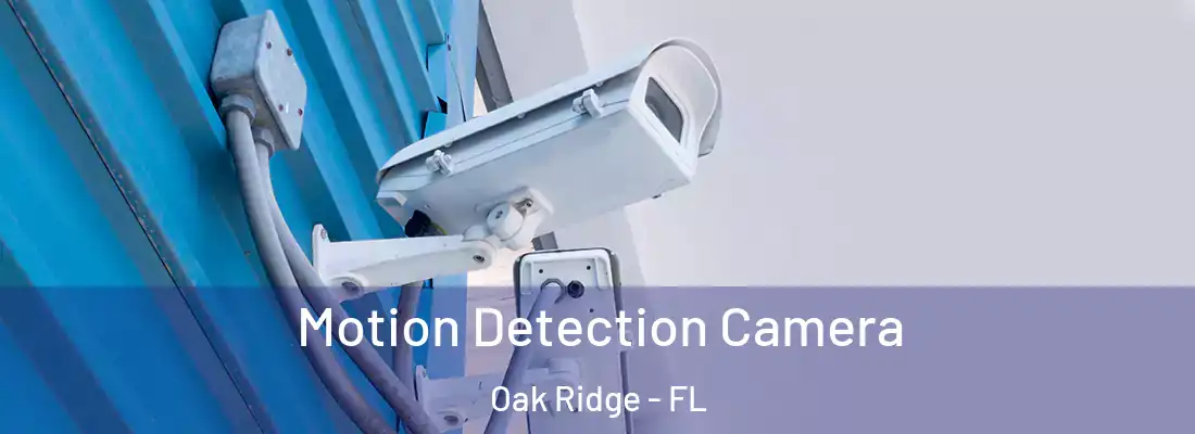 Motion Detection Camera Oak Ridge - FL